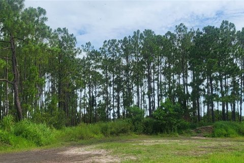 Land in Myakka City, Florida № 1259617 - photo 9