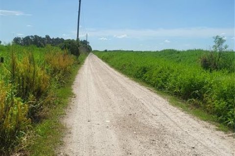 Land in Myakka City, Florida № 1259617 - photo 18