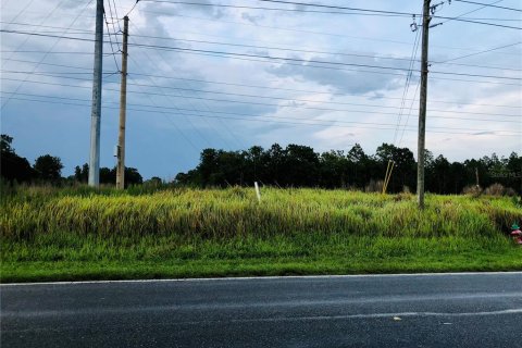 Terrain à vendre à Ocala, Floride № 213985 - photo 1