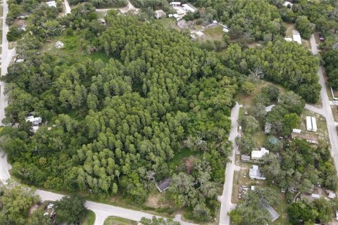 Terreno en venta en New Port Richey, Florida № 1247896 - foto 3