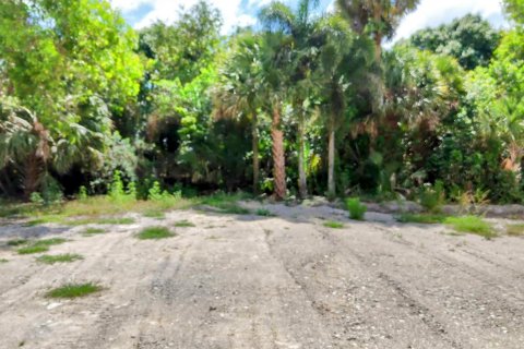 Terrain à vendre à Loxahatchee Groves, Floride № 1160371 - photo 18
