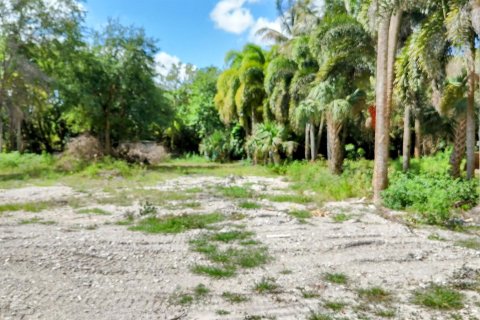 Terrain à vendre à Loxahatchee Groves, Floride № 1160371 - photo 13