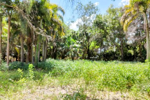 Terrain à vendre à Loxahatchee Groves, Floride № 1160371 - photo 24
