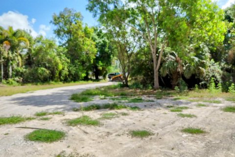Terrain à vendre à Loxahatchee Groves, Floride № 1160371 - photo 17