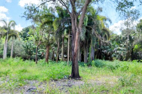 Terrain à vendre à Loxahatchee Groves, Floride № 1160371 - photo 25