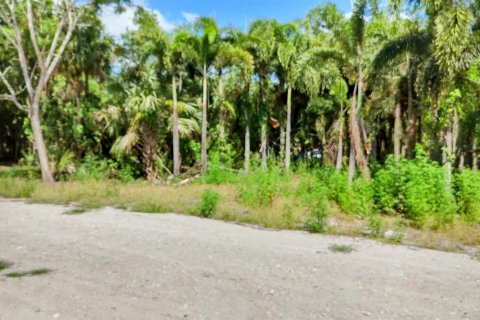 Terrain à vendre à Loxahatchee Groves, Floride № 1160371 - photo 15