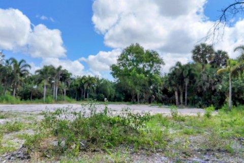 Terrain à vendre à Loxahatchee Groves, Floride № 1160371 - photo 26