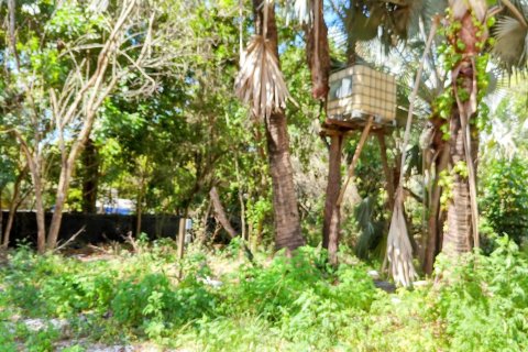 Terrain à vendre à Loxahatchee Groves, Floride № 1160371 - photo 7