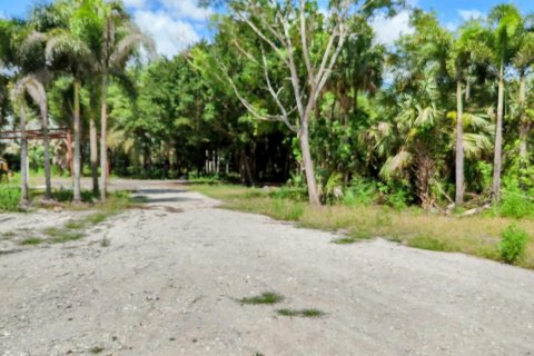 Terrain à vendre à Loxahatchee Groves, Floride № 1160371 - photo 14