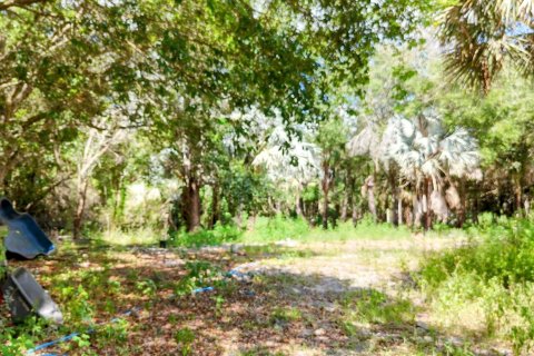 Terrain à vendre à Loxahatchee Groves, Floride № 1160371 - photo 28