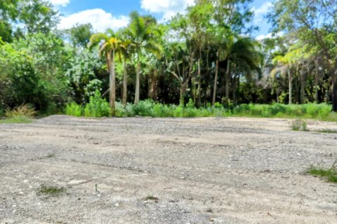 Terrain à vendre à Loxahatchee Groves, Floride № 1160371 - photo 19