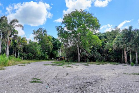 Terrain à vendre à Loxahatchee Groves, Floride № 1160371 - photo 2