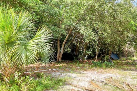 Terrain à vendre à Loxahatchee Groves, Floride № 1160371 - photo 21