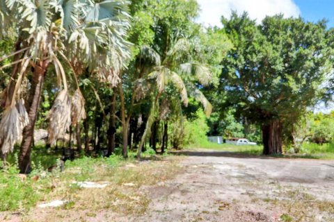 Terrain à vendre à Loxahatchee Groves, Floride № 1160371 - photo 5