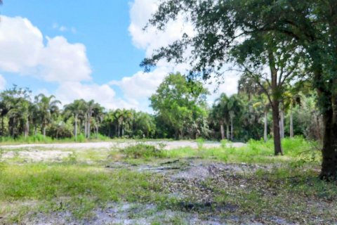 Terrain à vendre à Loxahatchee Groves, Floride № 1160371 - photo 27