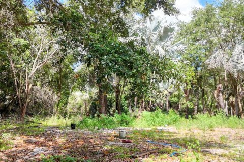 Terrain à vendre à Loxahatchee Groves, Floride № 1160371 - photo 20