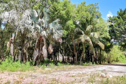 Terrain à vendre à Loxahatchee Groves, Floride № 1160371 - photo 29