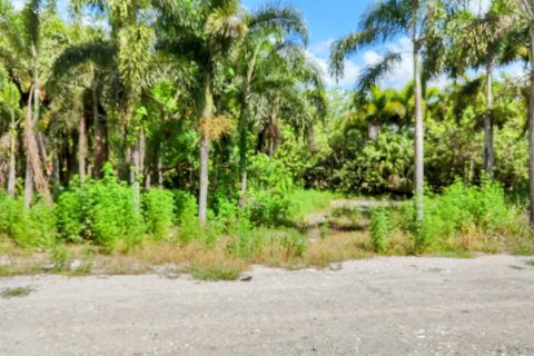 Terrain à vendre à Loxahatchee Groves, Floride № 1160371 - photo 16