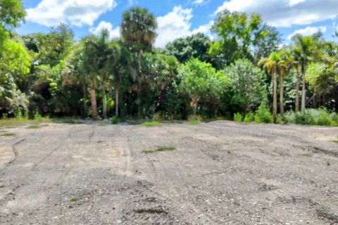 Terrain à vendre à Loxahatchee Groves, Floride № 1160371 - photo 12