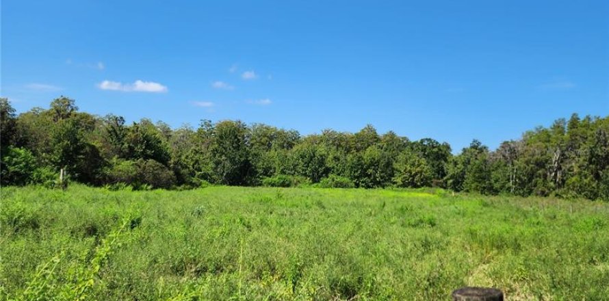 Terrain à Brooksville, Floride № 1372942