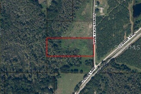 Land in Brooksville, Florida № 1372942 - photo 2