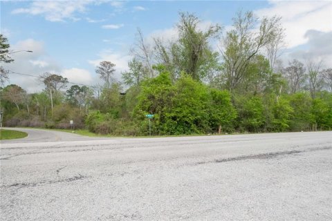 Terrain à vendre à Gainesville, Floride № 364761 - photo 8