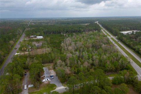 Terrain à vendre à Gainesville, Floride № 364761 - photo 5