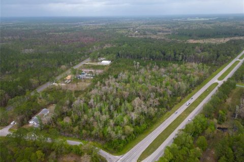 Land in Gainesville, Florida № 364761 - photo 2