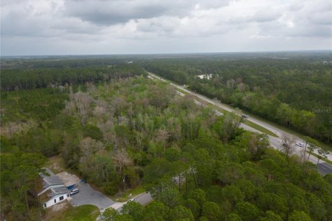 Land in Gainesville, Florida № 364761 - photo 4