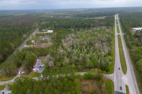 Купить земельный участок в Гейнсвилл, Флорида № 364761 - фото 1