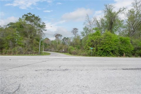 Купить земельный участок в Гейнсвилл, Флорида № 364761 - фото 9