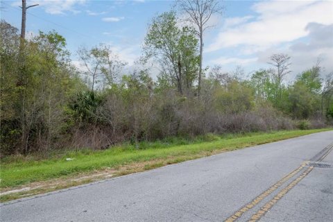 Land in Gainesville, Florida № 364761 - photo 7