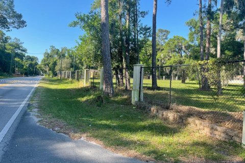 Hotel in Ocala, Florida № 1229870 - photo 10