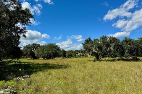 Terrain à vendre à Okeechobee, Floride № 853176 - photo 2