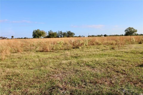 Land in Okeechobee, Florida № 853176 - photo 11