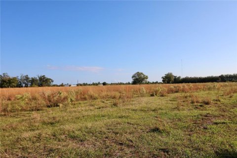 Land in Okeechobee, Florida № 853176 - photo 12