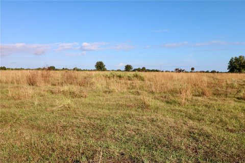 Land in Okeechobee, Florida № 853176 - photo 10