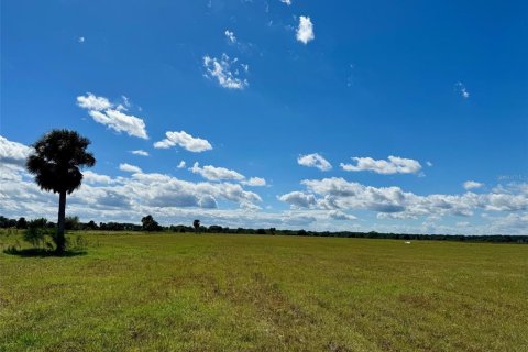 Terreno en venta en Okeechobee, Florida № 853176 - foto 1