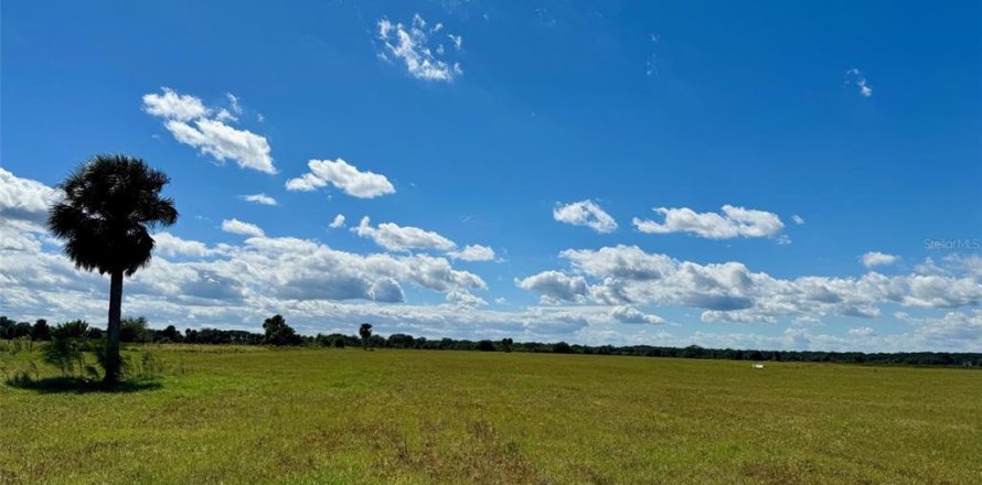 Terreno en Okeechobee, Florida № 853176