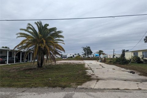 Terreno en venta en Englewood, Florida № 944097 - foto 1