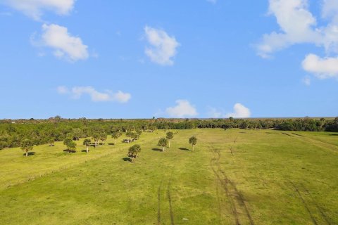 Land in Okeechobee, Florida № 789061 - photo 7