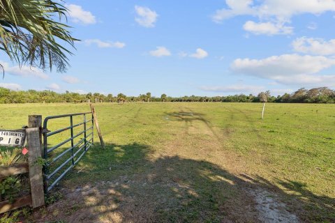 Land in Okeechobee, Florida № 789061 - photo 23