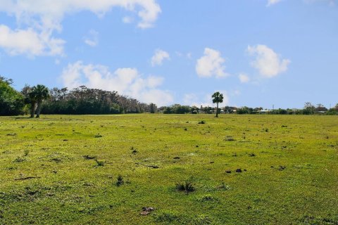 Land in Okeechobee, Florida № 789061 - photo 15