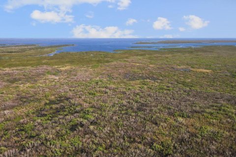 Land in Okeechobee, Florida № 789061 - photo 3