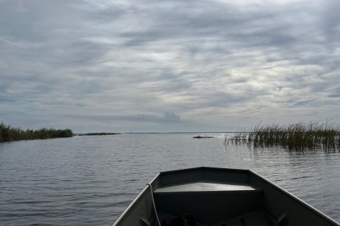 Land in Okeechobee, Florida № 789061 - photo 1