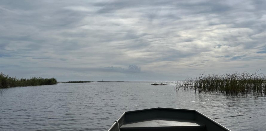 Land in Okeechobee, Florida № 789061