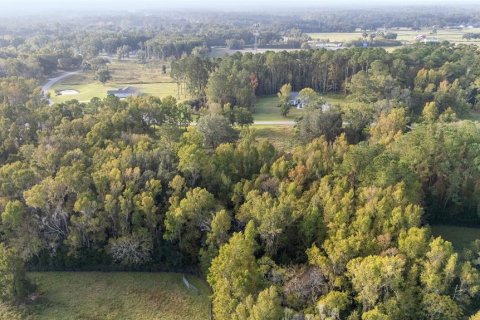 Terrain à vendre à Ocala, Floride № 1427711 - photo 20