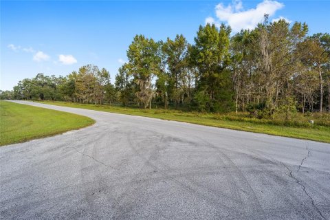 Terrain à vendre à Ocala, Floride № 1427711 - photo 5