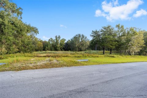 Terrain à vendre à Ocala, Floride № 1427711 - photo 6