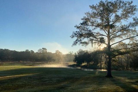 Terreno en venta en Ocala, Florida № 1427711 - foto 2